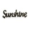 Contemporary Home Living 8.5" Black Rustic Cursive Sunshine Tabletop Decoration